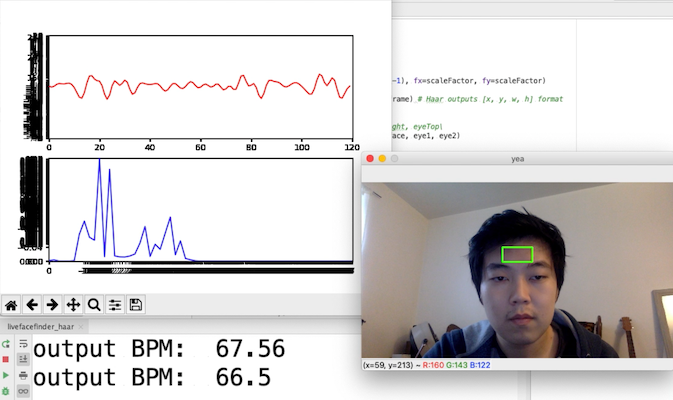 PPG from a crop under my eyes, with better signal. You can see the fluctuation of my face intensity from the graph itself