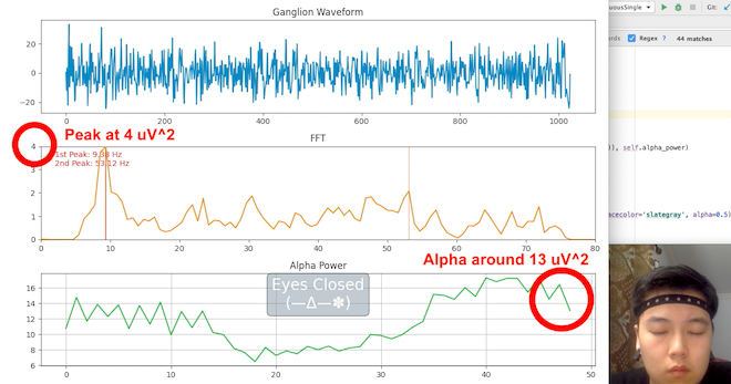Vastly increased alpha wave activity when user's eyes are closed