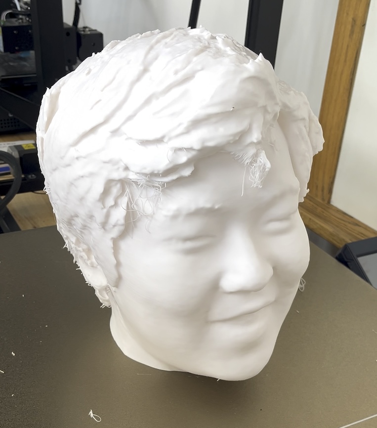 Full head 3D print