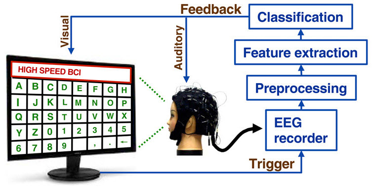 A flowchart of SSVEP brain signal processing