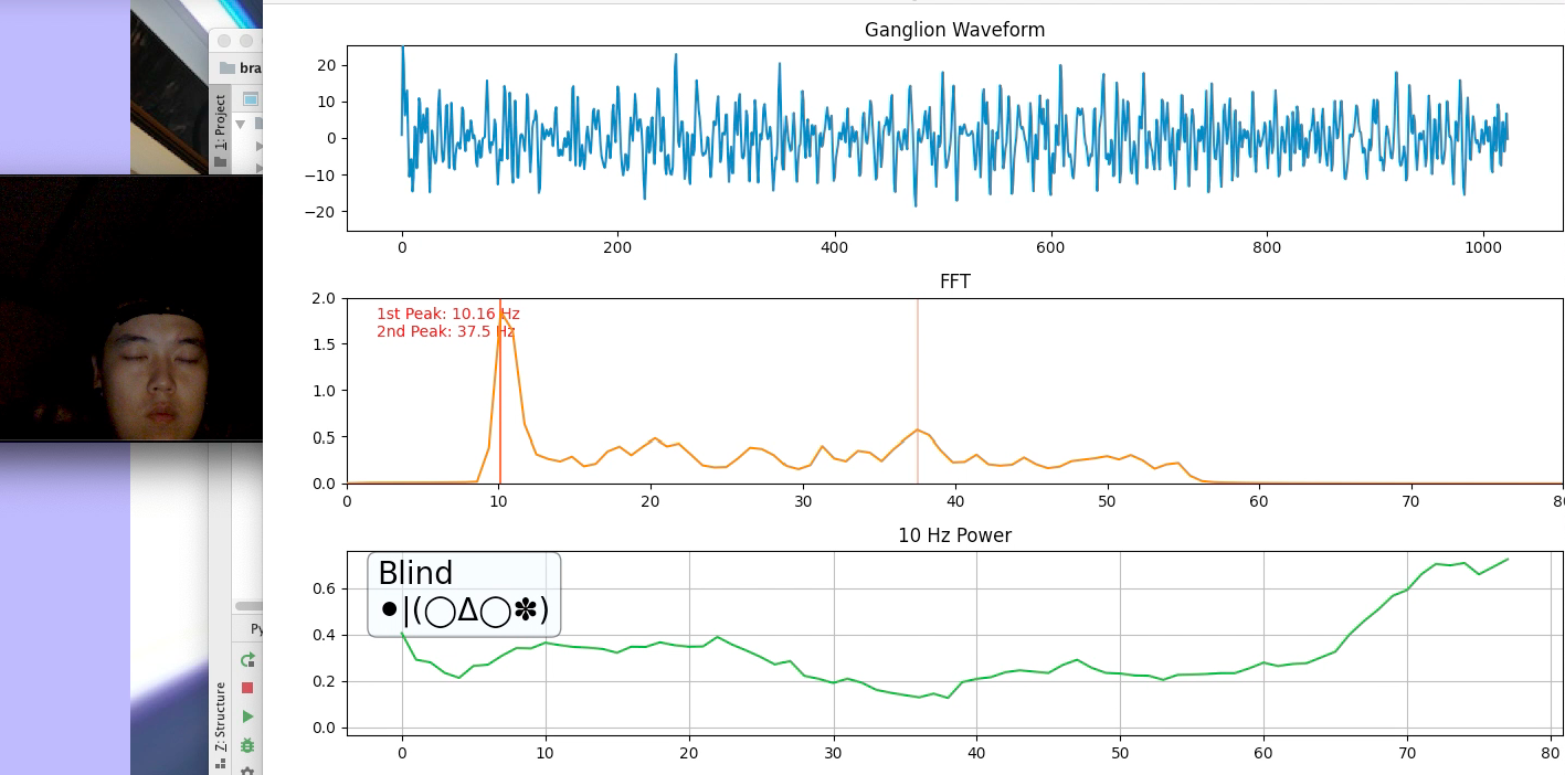 The alpha wave spike when your eyes close is one of the strongest EEG signals