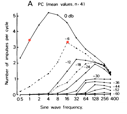 Responses per sinusoidal period for all recorded Pacinians