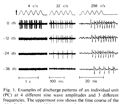Sinusoidal stimulus used to move the rod, and the action potentials produced