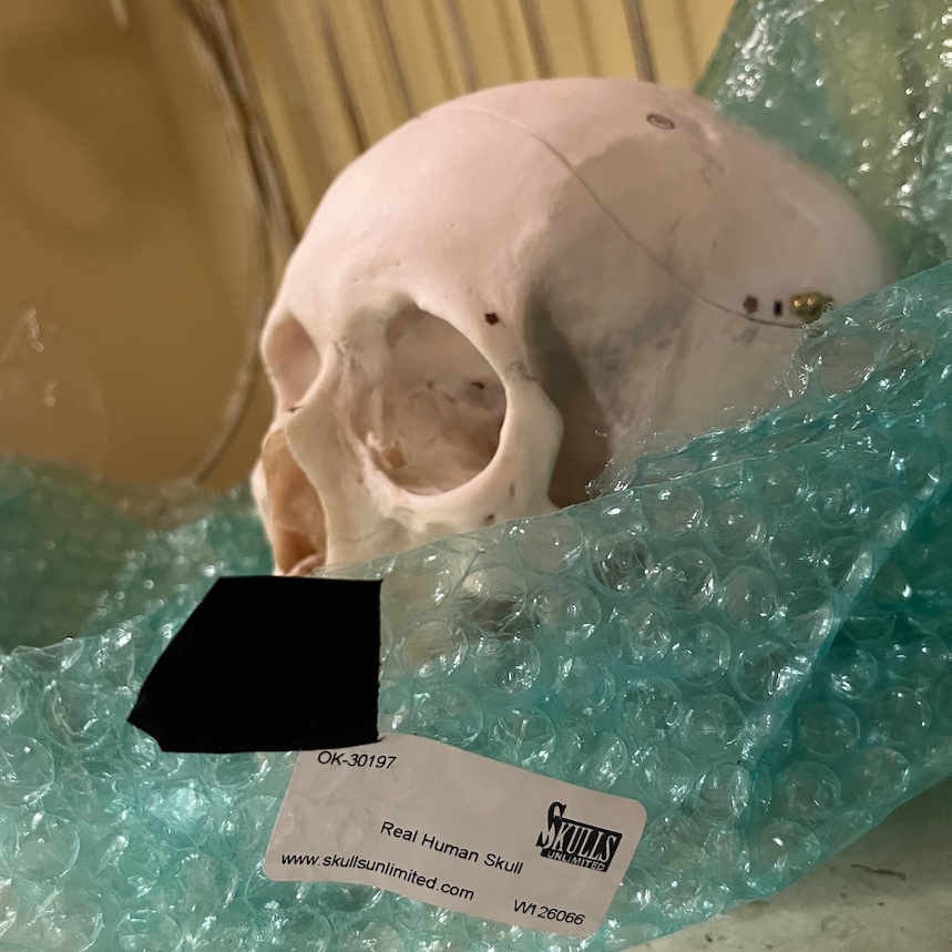 Ultrasonic EEG Hero Image