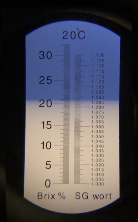 Longan refractometer photo, 20.8% sugar