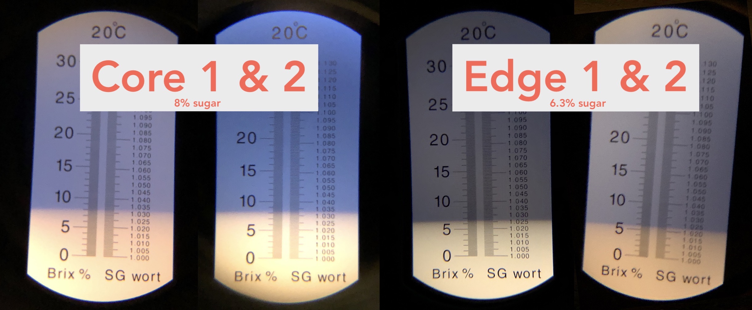 Watermelon center and edge sugar concentrations